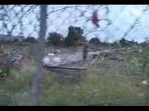 The destruction of the South Central Farmers