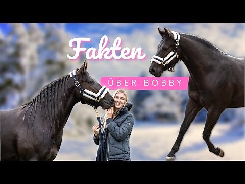 FACTS about my new horse💕
