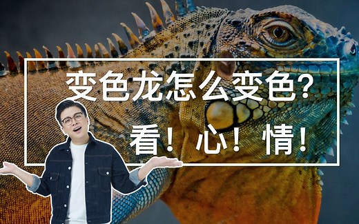 变色龙是怎么变色的？把它眼睛蒙住它还能变色吗？