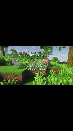Jour 1 pour ouvrir un serveur Minecraft