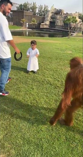 Extraordinary Wildlife Living with Humans: Heartwarming Stories of Coexistence, Conservation