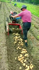 3.1K views | Great Agricultural machinery | Discover Life | Facebook