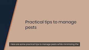 Garden Pest Control Tips