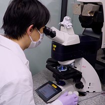 Video: A Tissue Clearing Method for Neuronal Imaging from Mesoscopic to Microscopic Scales