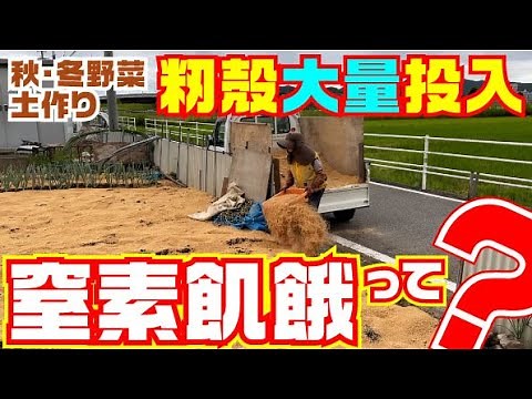 【ガッツリ入れても問題なし】籾殻を使った秋冬野菜基本の土作り【籾殻燻炭】【牡蠣殻石灰】