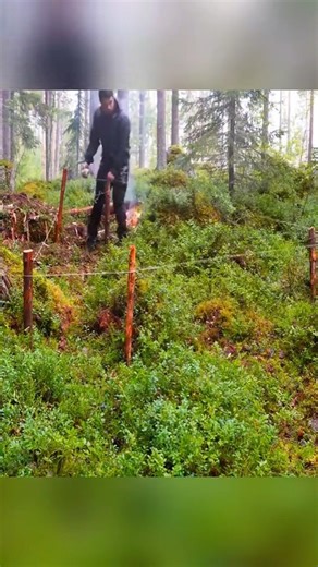 Survive in the forest Bushcraft TRIANGLE shelter building challenge (1 #bushcraft #logcabin #concrete #cabin #buildgril #bambo | VMPC Camping