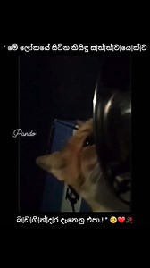 🥺 | ＰＡＮＤＯ