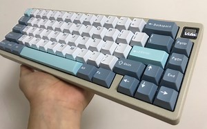 【打字音】Matrix VITA Classic |Wild42g |爱菲二色哨子键帽