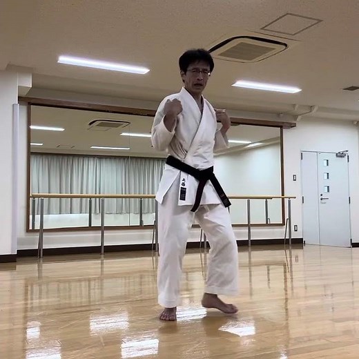 Seiken of 55 yo, 5/6（５５歳の正拳 その５）