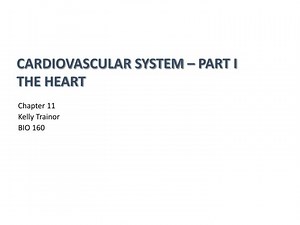 Cardiovascular System – Part I The Heart - SlideServe