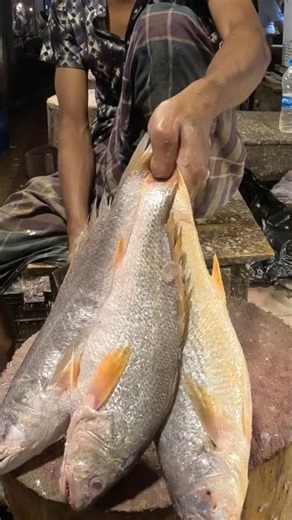 Yellow Croaker Fish Cutting – Smooth & Satisfying Knife Skills! #shorts