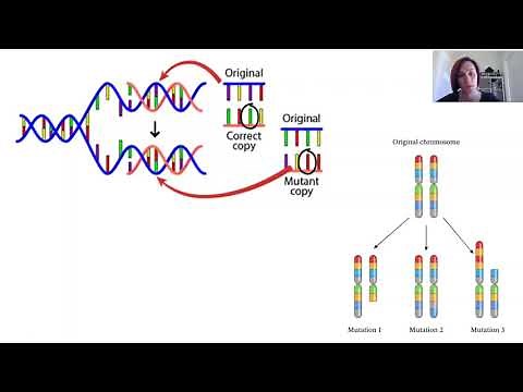 Mutations (Part 1 of 2)