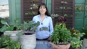 4.4K views · 43 reactions | Check out this sneak peek of our "Edibles...