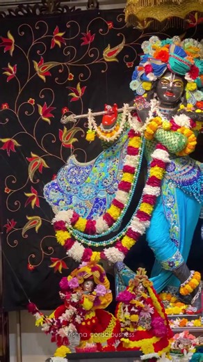 ঘুমানোর আগে প্রানভরে রাধামাধবকে দর্শন করুন। #radhakrishna #iskon #krishnaconsciousness