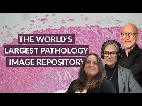 How is the BigPicture Project using Foundation Models and AI in computational pathology?