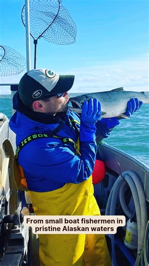 🛥️ From small-boat fishermen we know by name, delivered directly to you.🚚 Flash frozen and perfectly portioned for easy Alaskan seafood meals no matter how busy your day is. 🐟 Discover the incredible taste, versatility and nutrition of genuinely wild-caught Alaskan seafood, from our fishermen friends to you. | Alaska Fresh Seafood