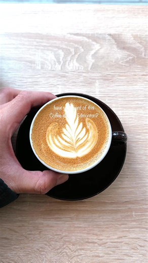 Have you been to this coffee shop in downtown Edmonton? It’s called Credo Coffee And their downtown cafe spot is super cozy and quaint :) Add this coffee shop to your places to visit in Edmonton! #edmonton #yegfoodie #yegcafe #edmontoncoffee