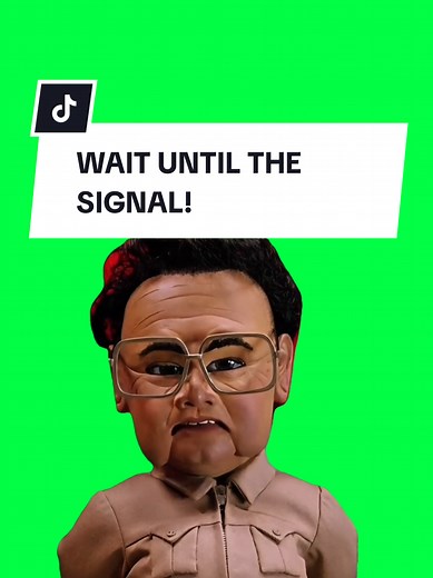 Waiting for the Signal: Chaotic Project Memes