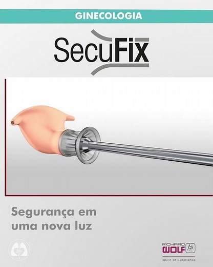 Secufix - Richard Wolf