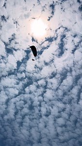 “Do a flip” 😆 | Sebastian Tami