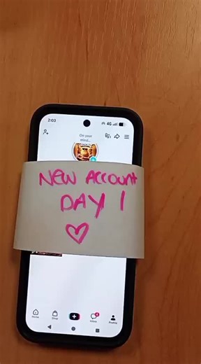 Hatching Real Chicks: A Chaotic and Fluffy Journey