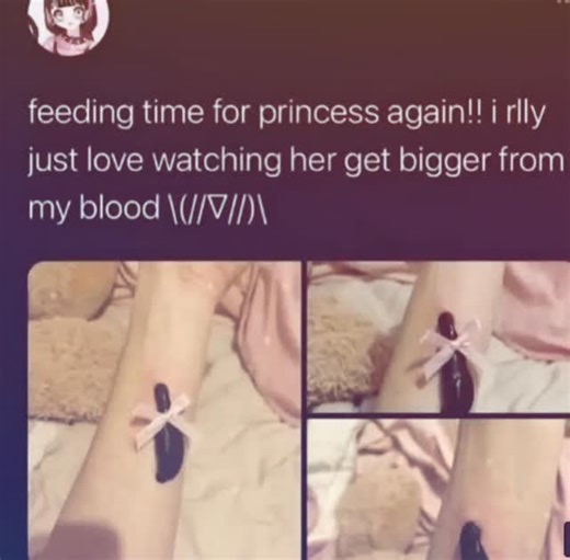 shamrockshake on Instagram: "hey wassup hello"