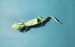 【Madiyar Origami】 壁虎折纸教程How to make an easy origami lizard (gecko)