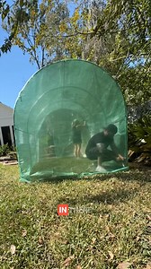 👉 #FreeShipping VEVOR Walk-in Tunnel Greenhouse, 20 x 10 x 7 ft Portable Plant Hot House w/ Galvanized Steel Hoops, 3 Top Beams, Diagonal Poles, 2 Zippered Doors & 12 Roll-up Windows | VEVOR Home Improvement