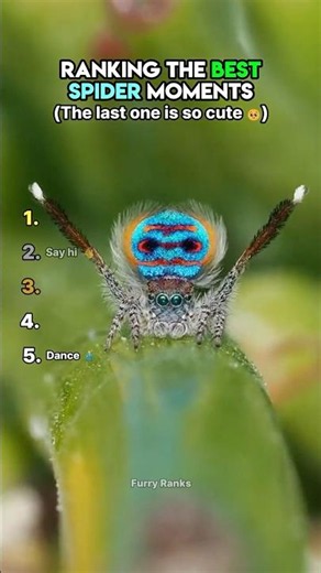 Ranking The Best Spider Moments