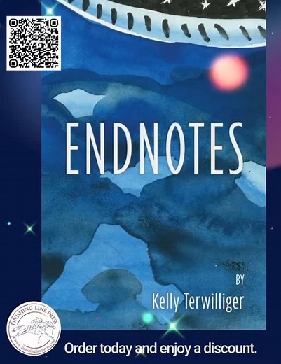 Endnotes: a poem, illustrations, and notes begins with a single poem unfolding into a series of 17 watercolor paintings and then again into notes, sub-notes, and footnotes. These in turn branch and extend and return tendril-like, drawing the reader into an unfurling voyage of observation, anecdote, memory, and myth. Meditating on everything from clouds to kaleidoscopes, from hieroglyphs and hummingbirds to sugar mice, Endnotes is about embracing unexpected connections and interrelationships, abo