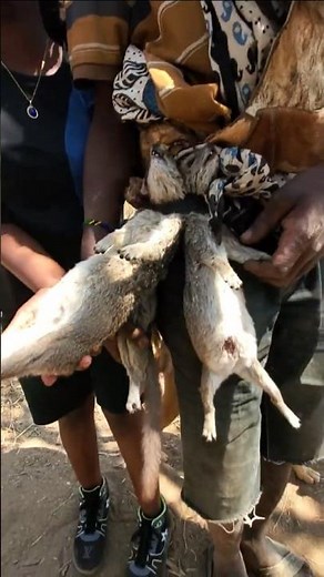 Bushmen Hunting and Preparing a Traditional Meal | African Village Life