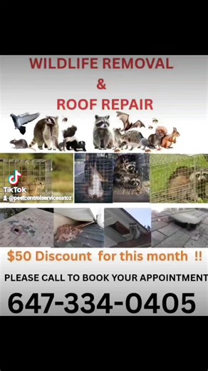 #caledon #toronto #etobicoke #mississauga #brampton