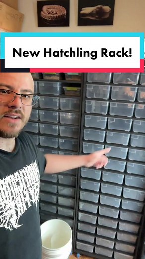 rileys_reptiles on TikTok