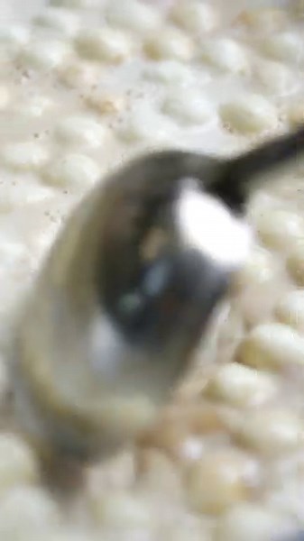 Dadus Butterscotch Rasmalai