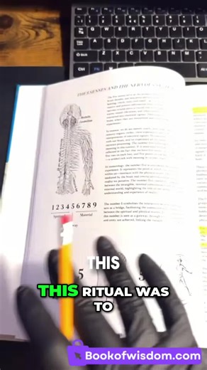 Lucifer Sigil, Brain Visual Field, and Your Consciousness Revealed!