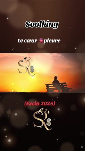 Soolking - Le cœur pleure: Une Émotion Musicale