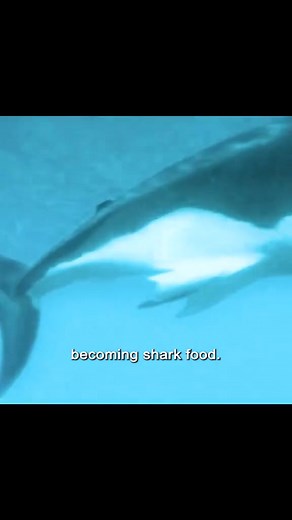 The woman was stranded for three days and three nights. #MustWatch2025 #Netflix #movieclips #movies #films #short Part 3 | Katherine Salva Balladares | Facebook