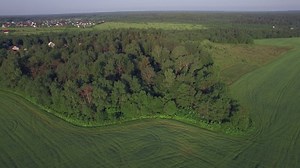 Beautiful countryside in Russia - Free Stock Video