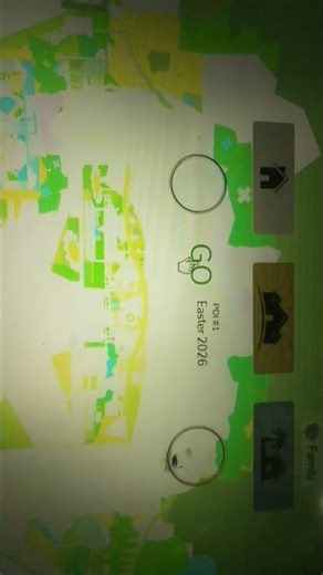 why my Brookhaven all screen is green?