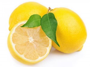 Lemon - Alchetron, The Free Social Encyclopedia