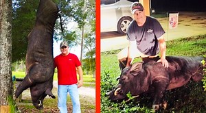 Alabama Man Takes Down 820-Lb Wild Boar In His Front Yard