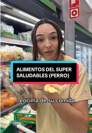 Alimentos Saludables para Perros en el Súper