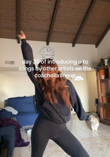 Introducing yøu$uke yuk1mat$u: Coachella Day 35