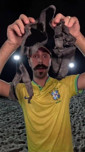 Strange things found at night on the beach