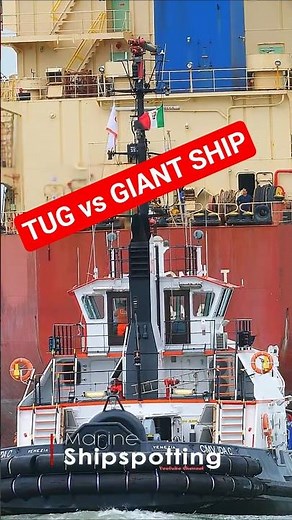 Powerful Tug Boat Assists Massive Cargo Ship in Venice! 🚢⚓ | 4K #Shorts