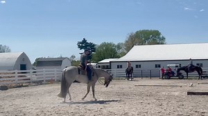 2.2K views · 24 reactions | Hes Thoroughly Good 2018 Red Roan Gelding...
