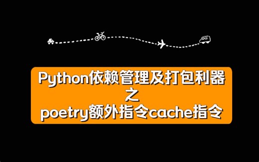 poetry额外指令之cache指令