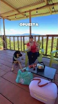 ¿Qué hacer cuando hay perros sueltos?