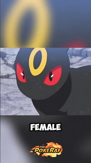 Spinel’s Umbreon is FEMALE?! #pokemon #pokemonanime
