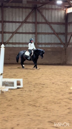 Equestrian Lifestyle at Picturesque Farm